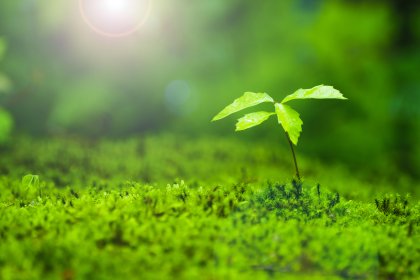 ブランディング入門（前編）