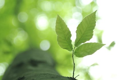 ブランディング入門（後編）