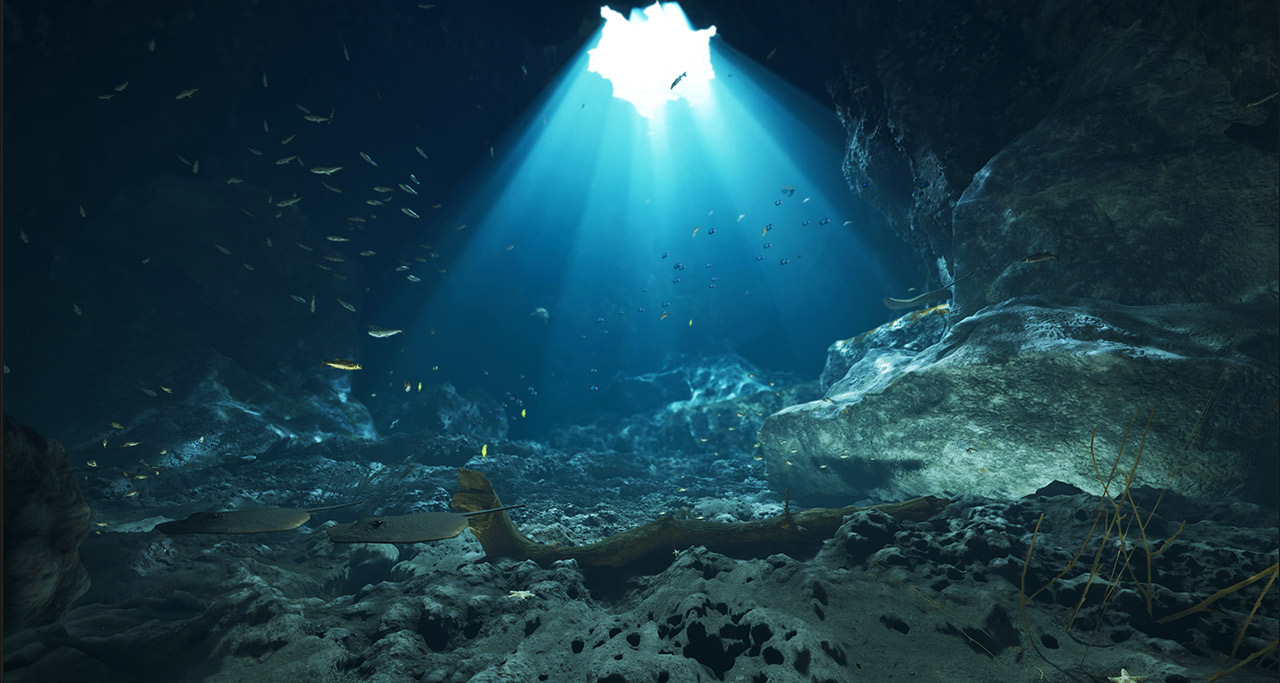 事例_登別水族館