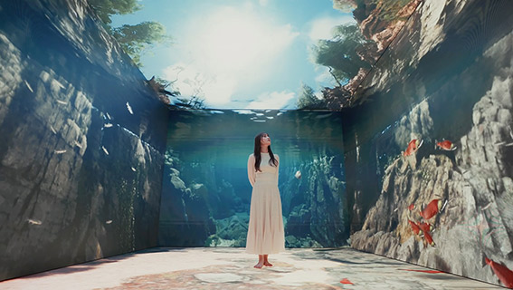 北海道マリンパーク様｜登別マリンパークニクス「Wonder Box 360」